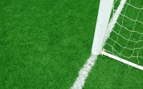  图卢兹主场草皮质量问题引争议  